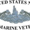 US navy Submarine Veteran Logo